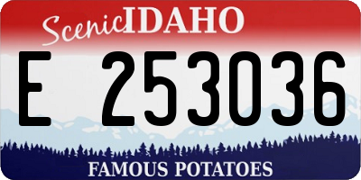 ID license plate E253036