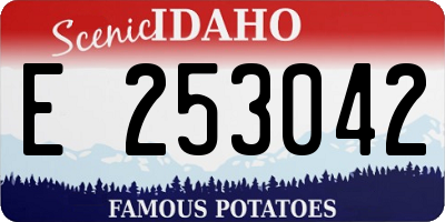 ID license plate E253042