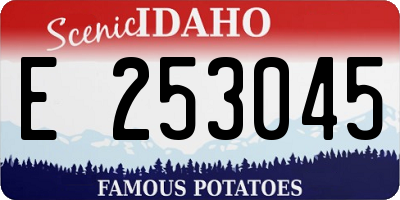 ID license plate E253045