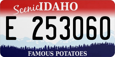 ID license plate E253060