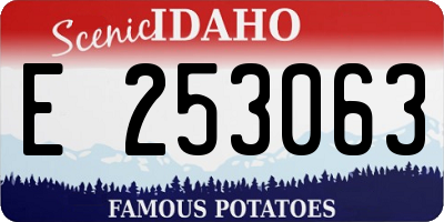 ID license plate E253063