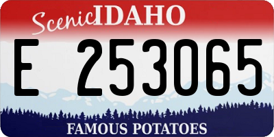 ID license plate E253065