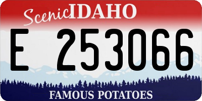 ID license plate E253066