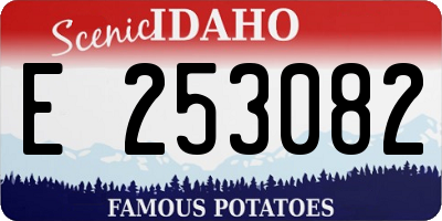 ID license plate E253082