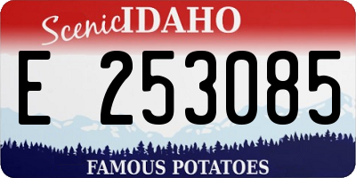 ID license plate E253085