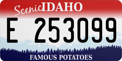 ID license plate E253099