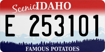 ID license plate E253101