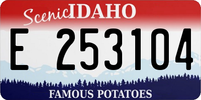 ID license plate E253104