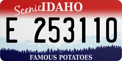 ID license plate E253110