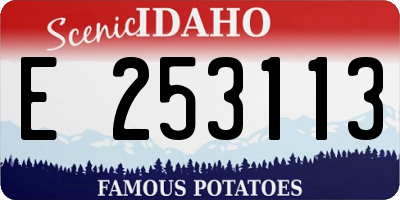 ID license plate E253113