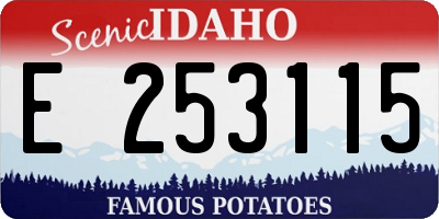 ID license plate E253115