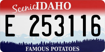 ID license plate E253116