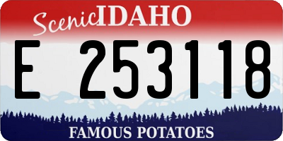 ID license plate E253118