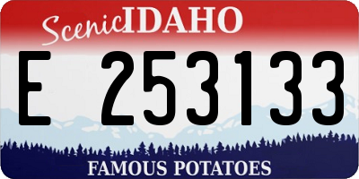 ID license plate E253133