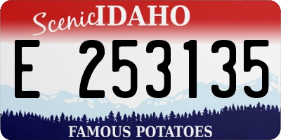 ID license plate E253135