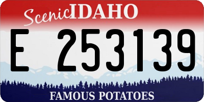 ID license plate E253139