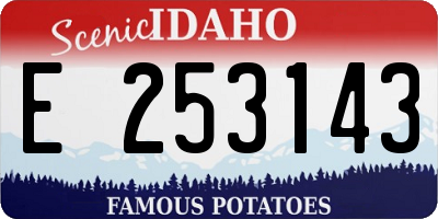 ID license plate E253143