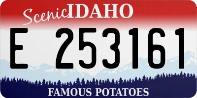 ID license plate E253161