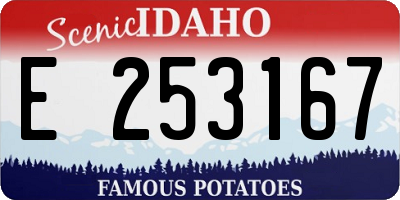 ID license plate E253167