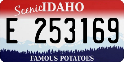 ID license plate E253169