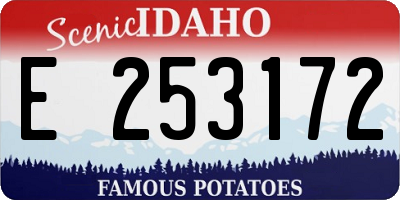 ID license plate E253172
