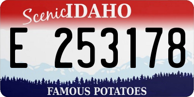 ID license plate E253178