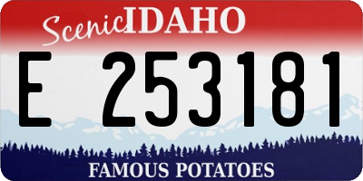 ID license plate E253181