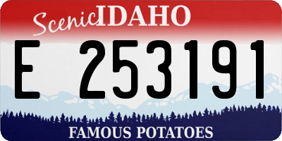ID license plate E253191