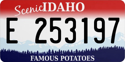 ID license plate E253197