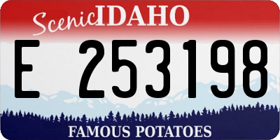 ID license plate E253198