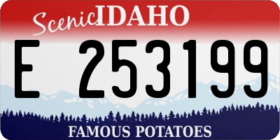 ID license plate E253199