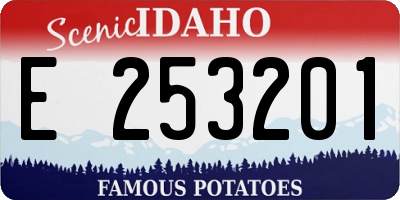 ID license plate E253201