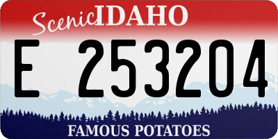 ID license plate E253204