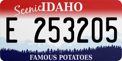 ID license plate E253205