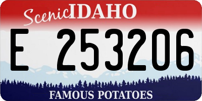 ID license plate E253206