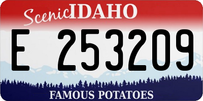 ID license plate E253209
