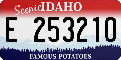 ID license plate E253210