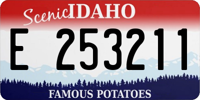 ID license plate E253211