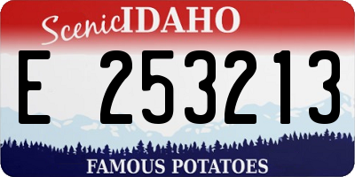 ID license plate E253213