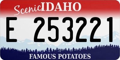 ID license plate E253221