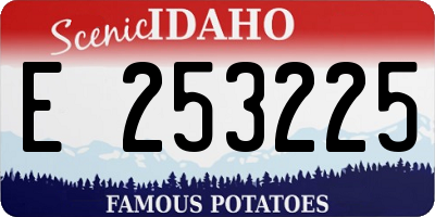 ID license plate E253225