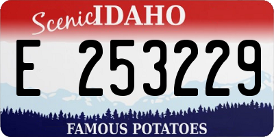 ID license plate E253229