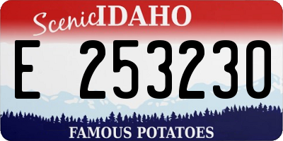 ID license plate E253230