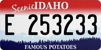 ID license plate E253233