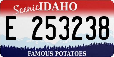 ID license plate E253238