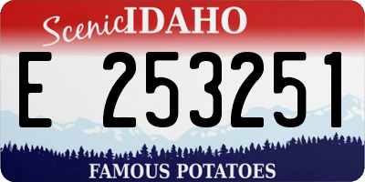 ID license plate E253251