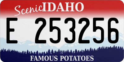 ID license plate E253256