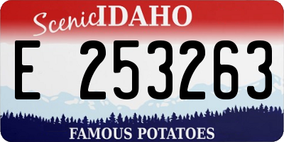 ID license plate E253263