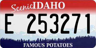 ID license plate E253271