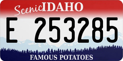 ID license plate E253285